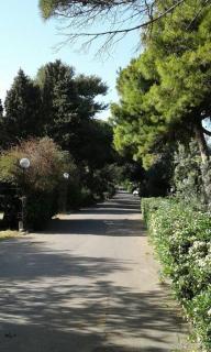 Rosi Sweet Home - 4