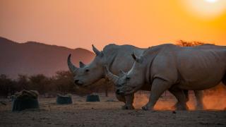Ugab Game Farm & Lodge - Vingerklip - 0