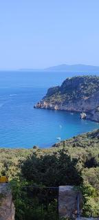 Appartamento al parco con parcheggio gratuito - 3