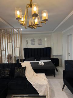 Luxury furnished studio apartment for rent - 4