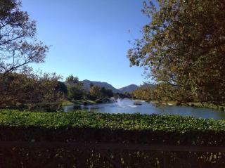 Modern Large 5 bedroom Villa in Pecanwood Golf Estate - Hartbeespoort - 7