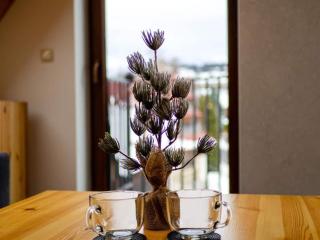 Villa Taternik - 3 Bedrooms Apartment - Mountain View - 2