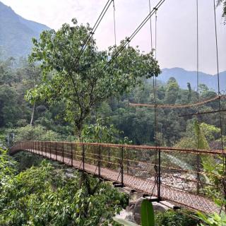 Odyssey Stays Nongriat - 3Kms trek from Main Road - Cherrapunji - 6