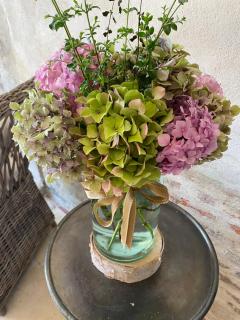 Les Hortensias - Canly - 1