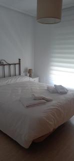 Casa albero - San Juan de los Terreros - 6