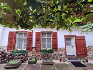 ''Casa Mia'' Centru Istoric Orasul de Jos - Sibiu - 5