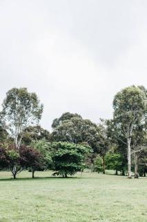Seymour House - Moss Vale - 5