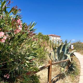 LODGE4 Seafront with private patio, family friendly, mins from Pisa Leaning Tower - Calambrone - 2