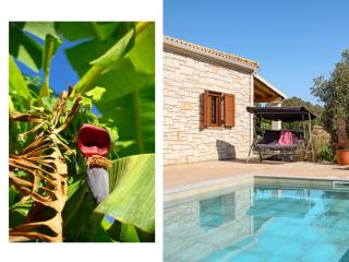 Villa Sofia Stella - Píthos - 8