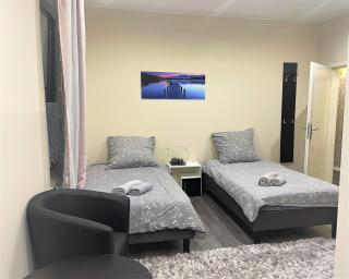 Große Ferienwohnung in Pellingen - Pellingen - 6