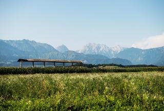 Mojca's nest apartment - 3