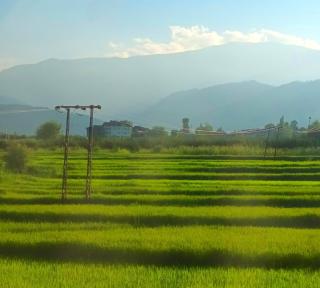 Mountain Majesty - 3