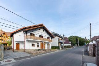 Casa Simona Bran - 9