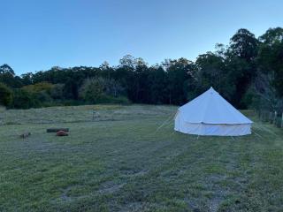 Relaxing bell tent in northern NSW - 3