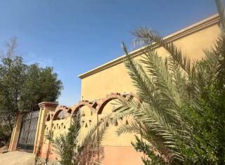 Jasmin Desert House - ‘Ezbet Abu Ḥabashi - 9