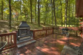 Bear Watch - Blue Ridge - 9