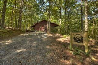Bear Watch - Blue Ridge - 3
