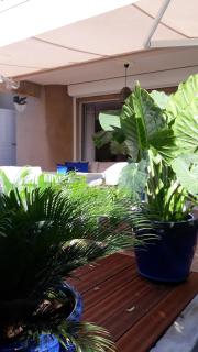 La TAMARISSIME - 6