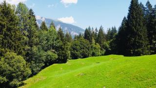 Studio 11 cozy and quiet - Flims - 5