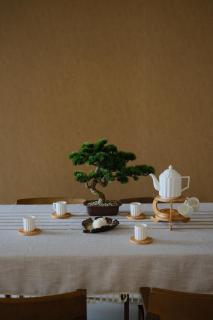 SG Luxury Condo.(Teega @ Puteri harbor) - 8