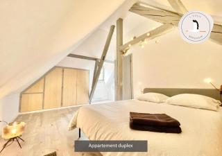 Appartements duplex 3 et 4 personnes - Climatisation - Village élu parmi les "Plus Beaux Villages de France" - Route des Vins - Centre Alsace - 0
