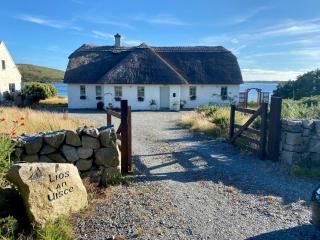 BaySide Cottage Connemara - Canower - 9