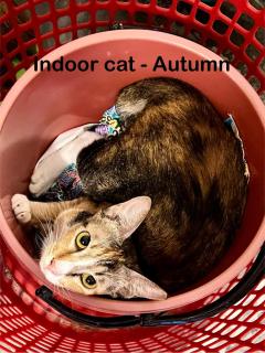 My Guesthouse 109 - SELF CHECK IN - 9