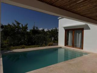 Modern Villa with Private Pool - Bwejuu - 4