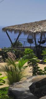 Torre Bella Gardens - Arco da Calheta - 3