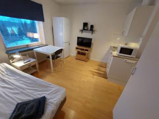 One room apartment close to nature and city - Bergviken - 4