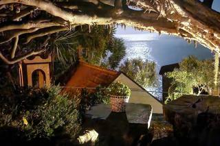 Torre Bella Gardens - Arco da Calheta - 6