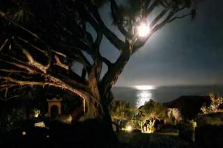 Torre Bella Gardens - Arco da Calheta - 4