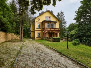 Apartment Villa Belvedere-2 by Interhome - Janské Lázně - 0