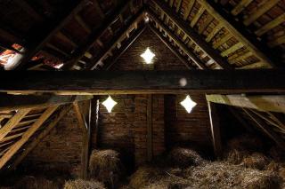 Historický zemědělský dvůr Kladeruby - 5