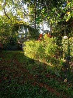 Tamarind Tree View Villa - 4