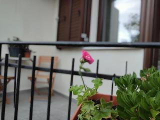 S'Erbei Niedda Guesthouse - Seùlo - 3