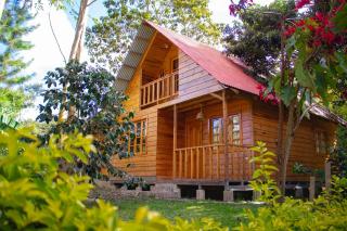 Palo Alto Lodge - Oxapampa - 9
