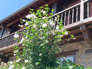 Apartamentos Calm & Nature - Adults Only - 2