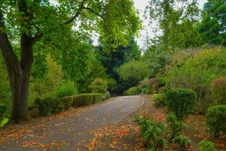 Parkside Victorian Retreat near Town centre - Swindon - 6