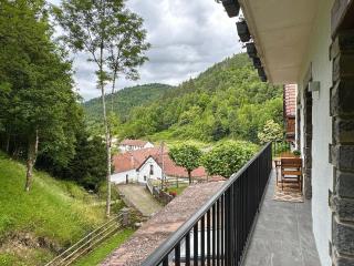 Hotel Rural Besaro - Selva de Irati - Izalzu - 2
