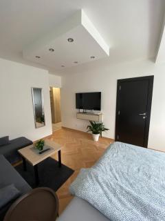 Vist 2 apartment - 4