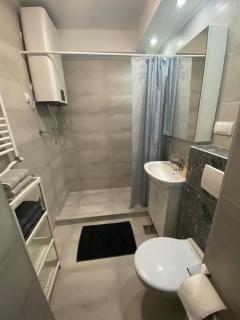 Vist 2 apartment - Tošin Bunar - 1