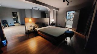 Sofia Luxury City Villa Bear - Private Garage - Pancharevo - Sofia - 3