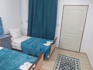 La mama Emilia - Recaş - 2