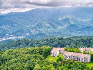 5 Star Summit View, adjacent to the National Park - Gatlinburg - 9