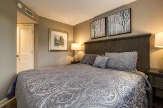 5 Star Summit View, adjacent to the National Park - Gatlinburg - 1