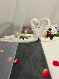 CARCASSONNE Studio avec Jacuzzi y piscina - Carcassonne - 3