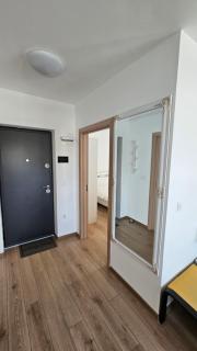 Goldmaurer - Târgu Mureș - 2