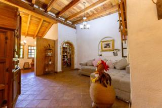 Natural Retreat & Pet-Friendly Escape - Miacatlán - 4