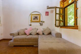 Natural Retreat & Pet-Friendly Escape - Miacatlán - 2